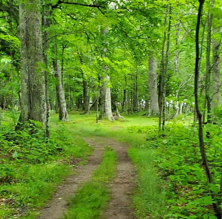 Trail Big Bay1 at Big Bay State Park