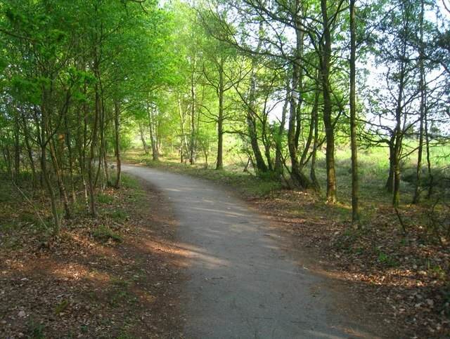 Trail Paved at Allan H. Treman State Marine Park