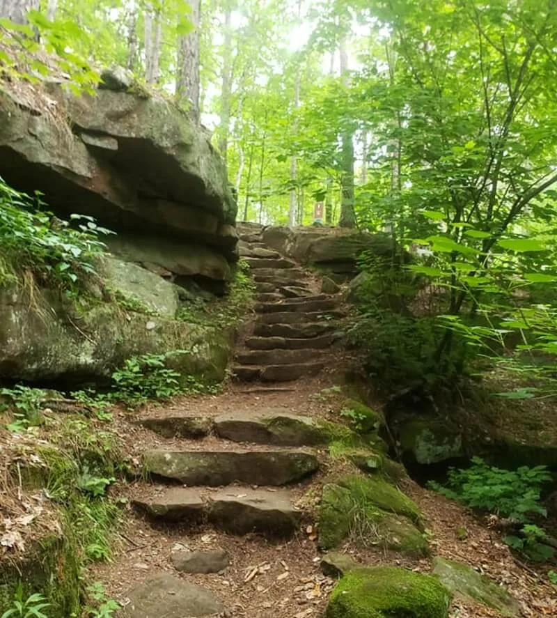 Trail2 Banning1 at Banning State Park