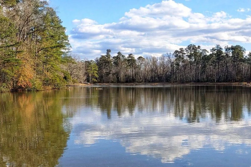 Barnwell State Park South Carolina