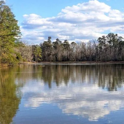 Barnwell State Park