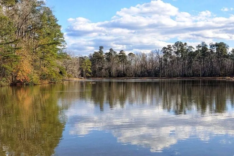 Barnwell State Park