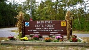 Bass River State Forest