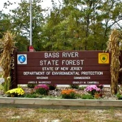 Bass River State Forest