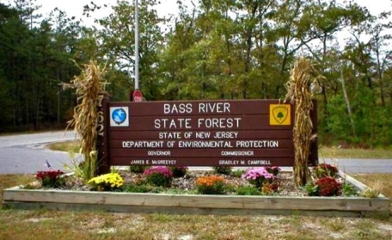 Bass River State Forest