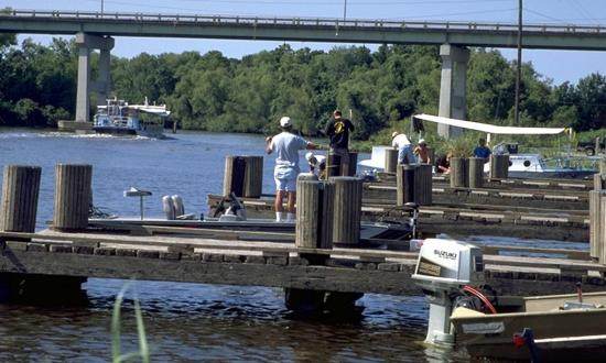 Bayou Segnette State Park 2 Bayou Segnette State Park Fish at Bayou Segnette State Park