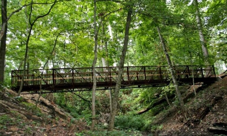 Beall Woods State Park