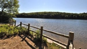 Becket Hill State Park Reserve