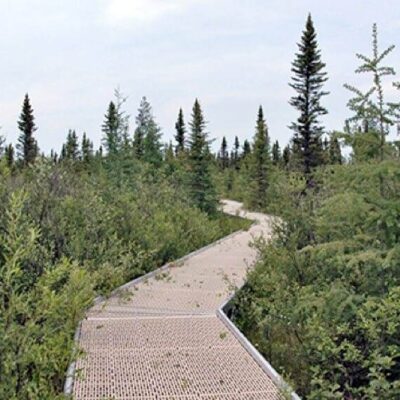 Big Bog State Recreation Area