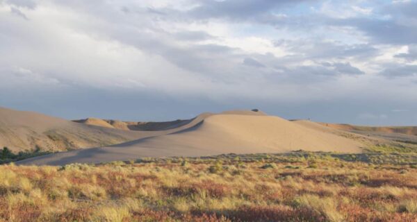Bruneau Dunes State Park