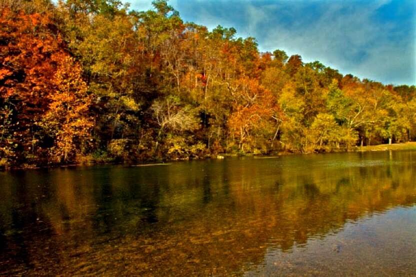 A scenic state park with a river and trees showcasing their vibrant autumn colors.