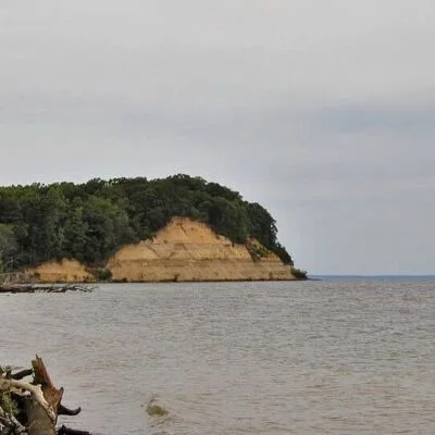 Calvert Cliffs State Park