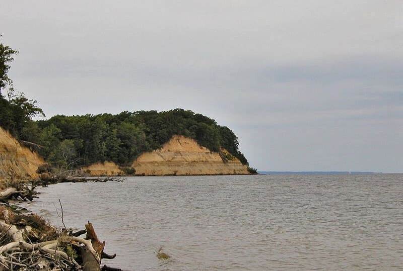 Calvert Cliffs State Park Maryland