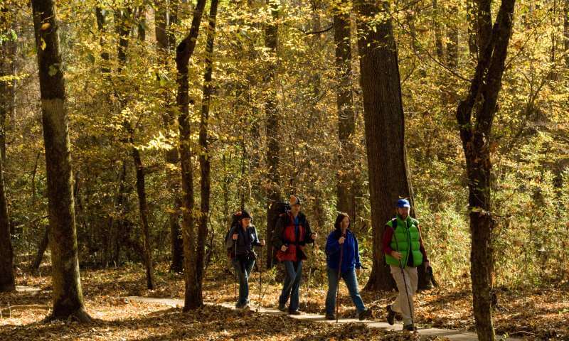 Cane Creek State Park Arkansas Hiking at Cane Creek State Park