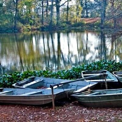 Tickfaw State Park