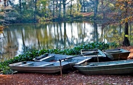 Chemin-A-Haut State Park