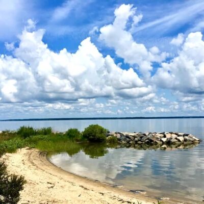 Chippokes State Park