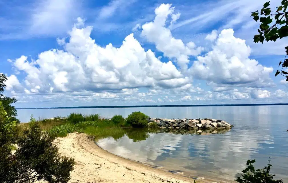 Chippokes Plantation State Park Virginia