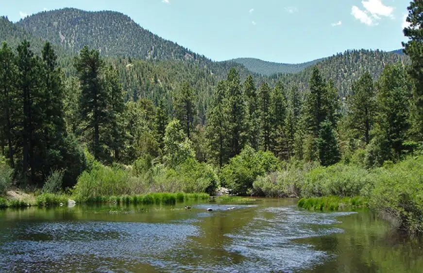 Cimarron Canyon State Park New Mexico