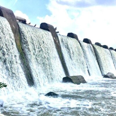 Falls of the Ohio State Park