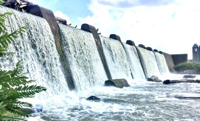 Falls of the Ohio State Park