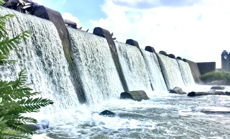 Falls of the Ohio State Park Indiana