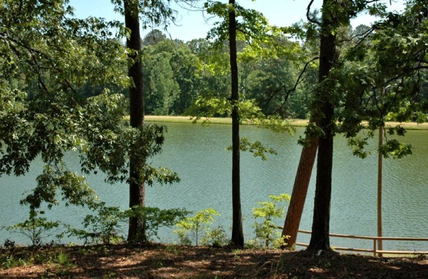 Golden Memorial State Park Mississippi