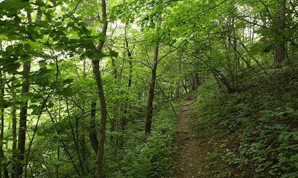 River Rock Trail at Apple River Canyon State Park