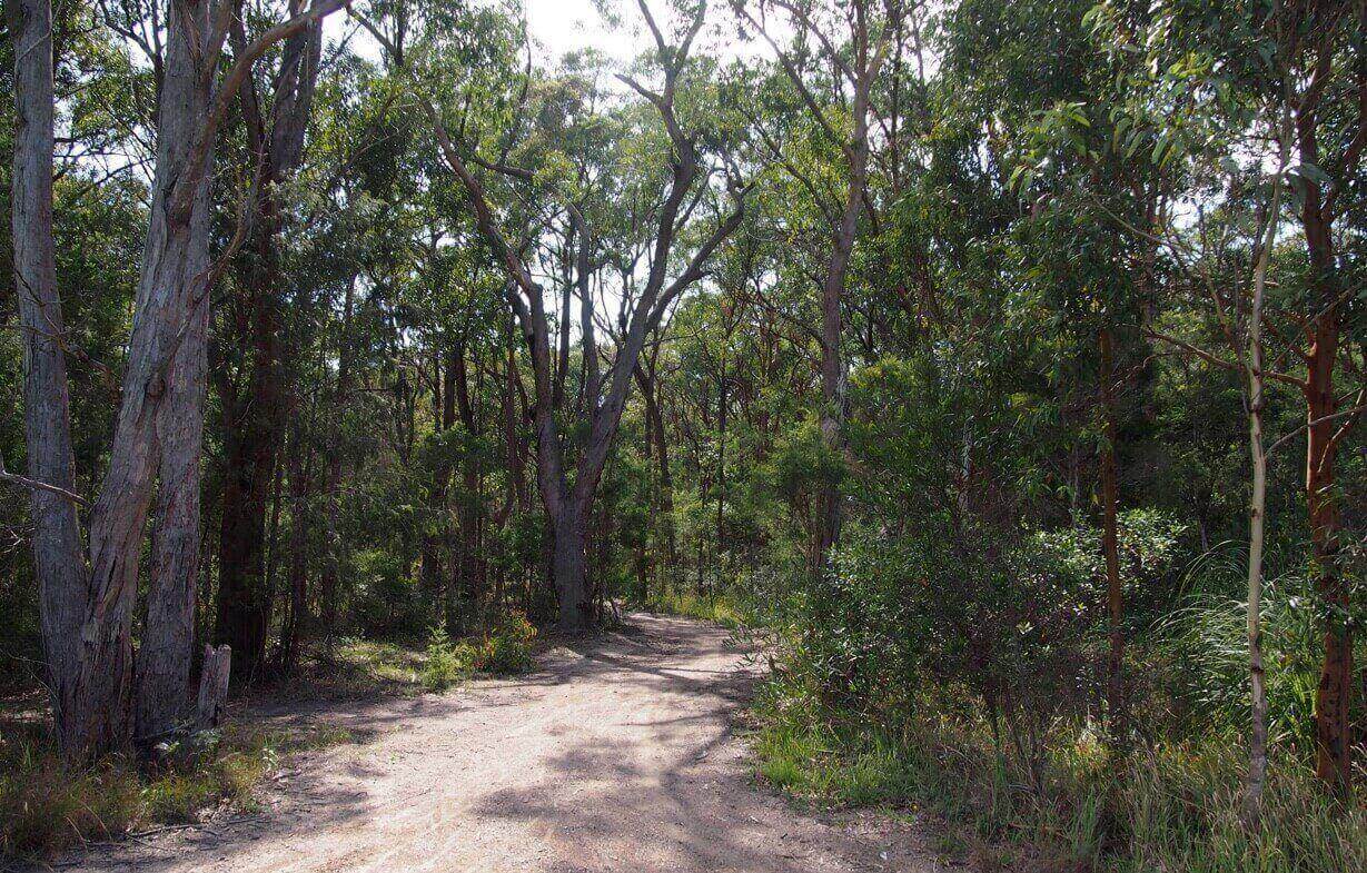 Charlestown State Park 1 Charlestown State Park Trails2 at Charlestown State Park