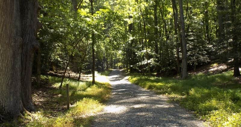 Hiking Caledon1 at Caledon State Park