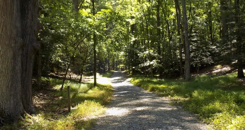 Hiking Caledon1 at Caledon State Park