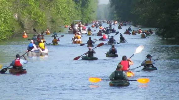 Dismal Swamp State Park