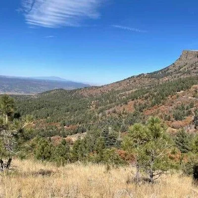 Fishers Peak State Park