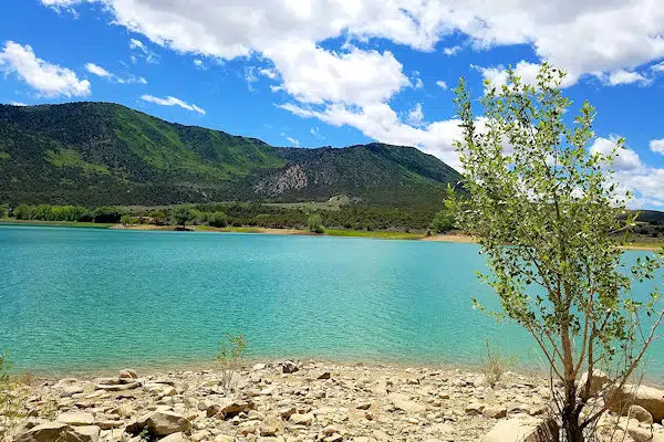 Harvey Gap State Park