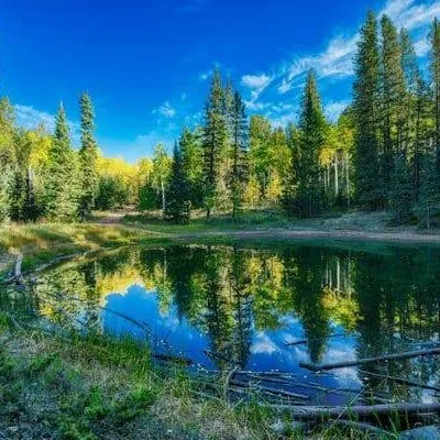 Mueller State Park