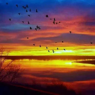 North Sterling State Park