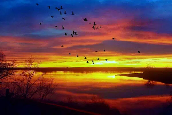 North Sterling State Park