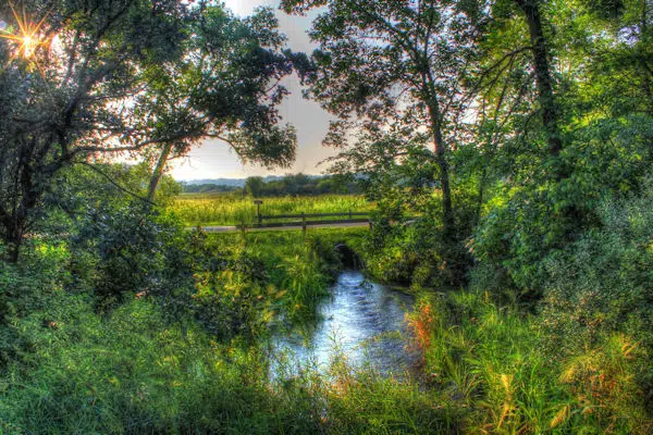 pond in state park near chicago