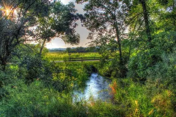 pond in state park near chicago