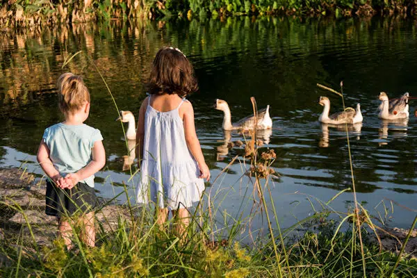 children watching wildlife at state park near colorado springs CO