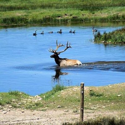 Bear River State Park