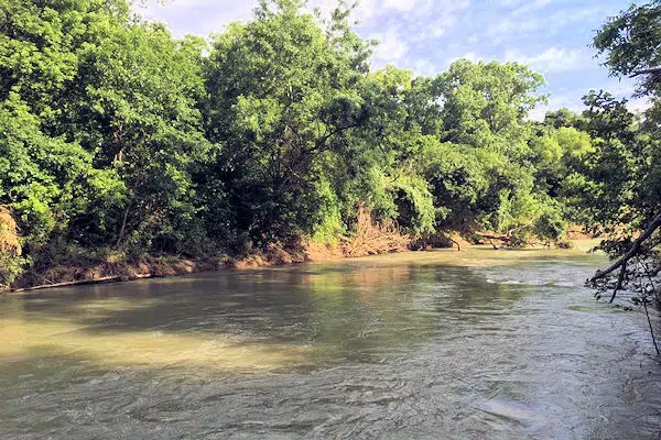 san marcos river running through state park near san antonio texas