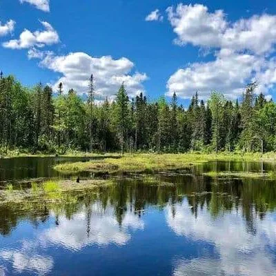 Aroostook State Park