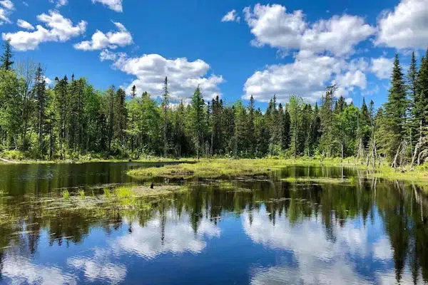 Aroostook State Park