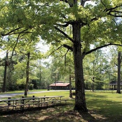 Chickasaw State Park