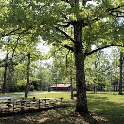Chickasaw State Park