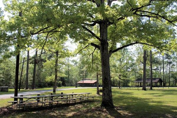 picnic and recreation area at chickasaw state park in alabama
