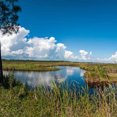 Gulf State Park