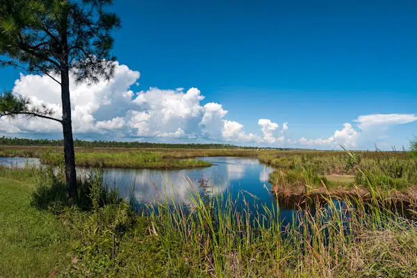 clouds reflected in canals at gulf state park in alabama