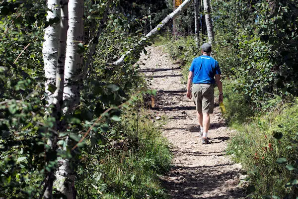 hiker on trail at aroostook state park in maine